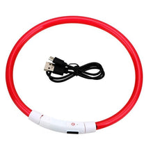 Load image into Gallery viewer, Light Up Dog Collar, USB Rechargeable LED Glowing Collar