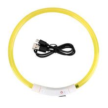 Load image into Gallery viewer, Light Up Dog Collar, USB Rechargeable LED Glowing Collar