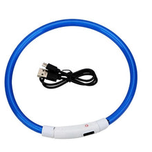 Load image into Gallery viewer, Light Up Dog Collar, USB Rechargeable LED Glowing Collar