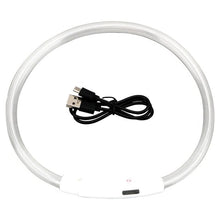 Load image into Gallery viewer, Light Up Dog Collar, USB Rechargeable LED Glowing Collar