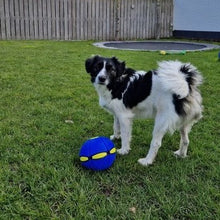 Load image into Gallery viewer, Interactive Doggy Disc Ball