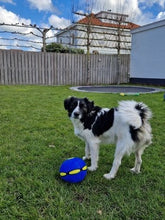 Load image into Gallery viewer, Interactive Doggy Disc Ball