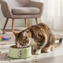 Load image into Gallery viewer, Cat Slow Feeder Bowl Anti-Slip Ceramic