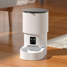 Load image into Gallery viewer, Automatic Cat Food Dispenser with Wi-Fi and Digital Touch Screen