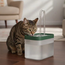 Load image into Gallery viewer, Cat Water Fountain, Silent Multi-Layer Filtration