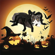 Load image into Gallery viewer, Spider Pet Costume with Attached Legs and Adjustable Straps