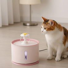 Load image into Gallery viewer, Cat Water Fountain, Automatic Filtered Drinking Dispenser