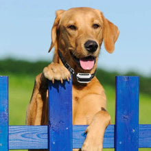 Load image into Gallery viewer, Wireless Invisible Underground Electric Dog Training Wire Fence Set