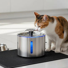 Load image into Gallery viewer, Stainless Steel Cat Water Fountain, Silent Filtered Automatic Dispenser