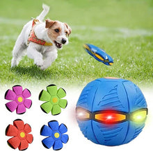 Load image into Gallery viewer, Interactive Doggy Disc Ball