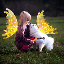 Load image into Gallery viewer, Electric Colorful Kids / Adults LED Fairy Wings Costume