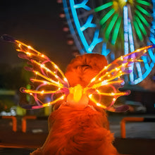 Load image into Gallery viewer, Electric Colorful Kids / Adults LED Fairy Wings Costume