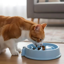 Load image into Gallery viewer, Cat Slow Feeder Bowl For Anti-Choking And Easy Digestion