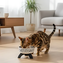 Load image into Gallery viewer, Raised Cat Bowl for Comfortable Digestion