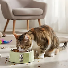 Load image into Gallery viewer, Cat Slow Feeder Bowl Anti-Slip Ceramic