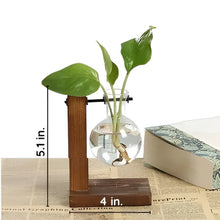 Load image into Gallery viewer, Wooden Frame Hydroponic Plant Vase