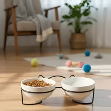 Load image into Gallery viewer, Elevated Ceramic Cat Bowls with Metal Stand