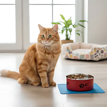 Load image into Gallery viewer, Stainless Steel Cat Bowls, Non Slip Easy Clean Feeding Dish