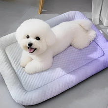 Load image into Gallery viewer, Ice Silk Cooling Pet Bed for Dogs & Cats – Summer Comfort Nest