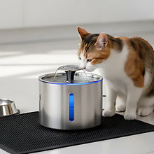 Load image into Gallery viewer, Stainless Steel Cat Water Fountain, Silent Filtered Automatic Dispenser