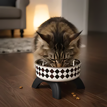 Load image into Gallery viewer, Raised Cat Bowl for Comfortable Digestion