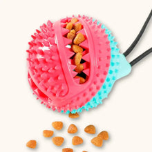 Load image into Gallery viewer, Dog Rope Toy with Suction Cup for Interactive Play