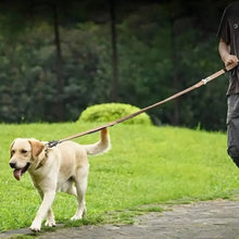 Load image into Gallery viewer, Dog Shock Absorbing Leash, Elastic & Strong Control