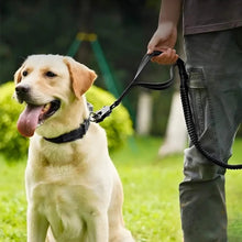 Load image into Gallery viewer, Dog Shock Absorbing Leash, Elastic & Strong Control