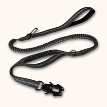 Load image into Gallery viewer, Dog Shock Absorbing Leash, Elastic & Strong Control