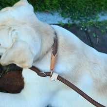 Load image into Gallery viewer, Dog Slip Lead Minimalist and Secure Rope Leash
