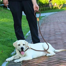 Load image into Gallery viewer, Dog Slip Lead Minimalist and Secure Rope Leash