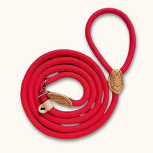 Load image into Gallery viewer, Dog Slip Lead Minimalist and Secure Rope Leash