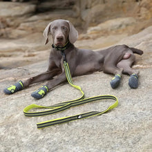 Load image into Gallery viewer, Padded Nylon Dog Leash Reflective 6.5ft