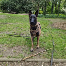 Load image into Gallery viewer, Dog Training Long Line Leash, Durable and Lightweight
