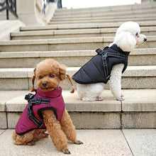 Load image into Gallery viewer, All-Weather Insulated Dog Jacket with Built-in Harness