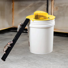 Load image into Gallery viewer, Bucket Trap Cover with Auto Reset Lid and Dual Ladders for Rodents