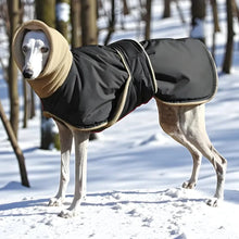 Load image into Gallery viewer, Greyhound Coat, Waterproof and Windproof Dog Jacket