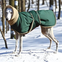 Load image into Gallery viewer, Greyhound Coat, Waterproof and Windproof Dog Jacket