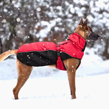 Load image into Gallery viewer, Belgian Malinois Dog Coat Waterproof and Windproof