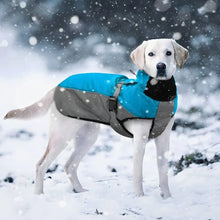 Load image into Gallery viewer, Belgian Malinois Dog Coat Waterproof and Windproof
