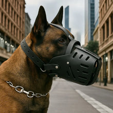 Load image into Gallery viewer, Leather Dog Muzzle, Safety and Comfort