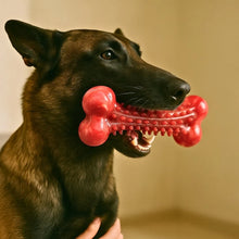 Load image into Gallery viewer, Dog Chew Bone Natural Rubber for Medium and Large Dogs