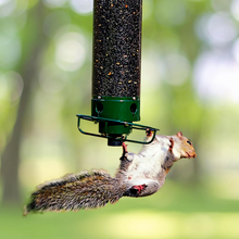 Load image into Gallery viewer, Squirrel Proof Bird Feeder