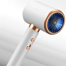 Load image into Gallery viewer, Professional Ionic Hairdryer