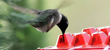 Load image into Gallery viewer, Ant Proof Hummingbird Feeder Outdoor Hanging Perch