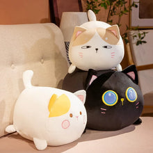 Load image into Gallery viewer, Plush Cat Pillow