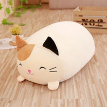 Load image into Gallery viewer, Plush Cat Squishmallow