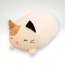 Load image into Gallery viewer, Plush Cat Squishmallow