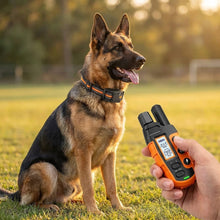 Load image into Gallery viewer, Premium 1000m Dog Training Collar with Remote