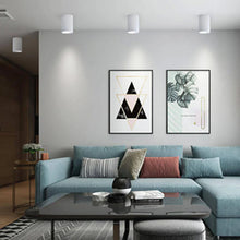 Load image into Gallery viewer, Surface Mount LED Tube Light